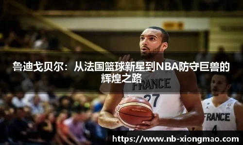 鲁迪戈贝尔：从法国篮球新星到NBA防守巨兽的辉煌之路