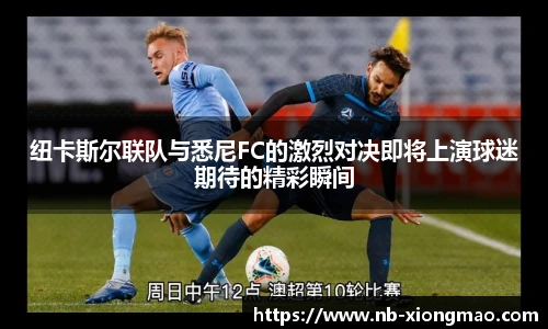 纽卡斯尔联队与悉尼FC的激烈对决即将上演球迷期待的精彩瞬间